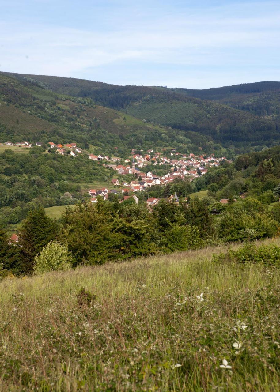 Hotel Restaurant Auberge Metzger Natzwiller Kültér fotó